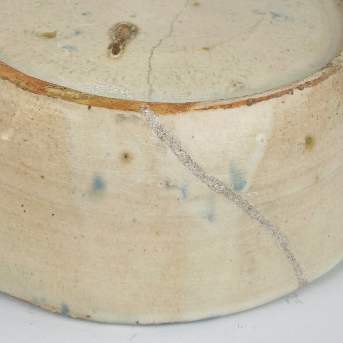 Close-up of a ceramic plate with a crack and speckled pattern on a white background