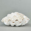 Pair of Tridacna giant clam shells with ribbed white texture and symmetrical form, displayed on a neutral background for coastal or nautical-inspired interiors.