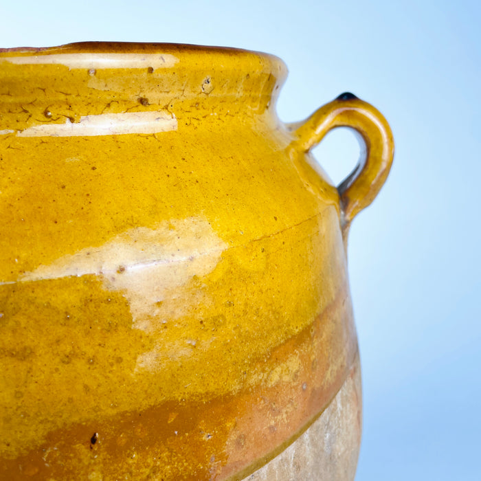 Late 19th century French terracotta confit pot with an applied ear handle rising from the shoulder below a rolled rim. The upper section carries luminous yellow and honey glaze, while the lower body remains weathered and matte, creating an organic modern decor statement with historic function.